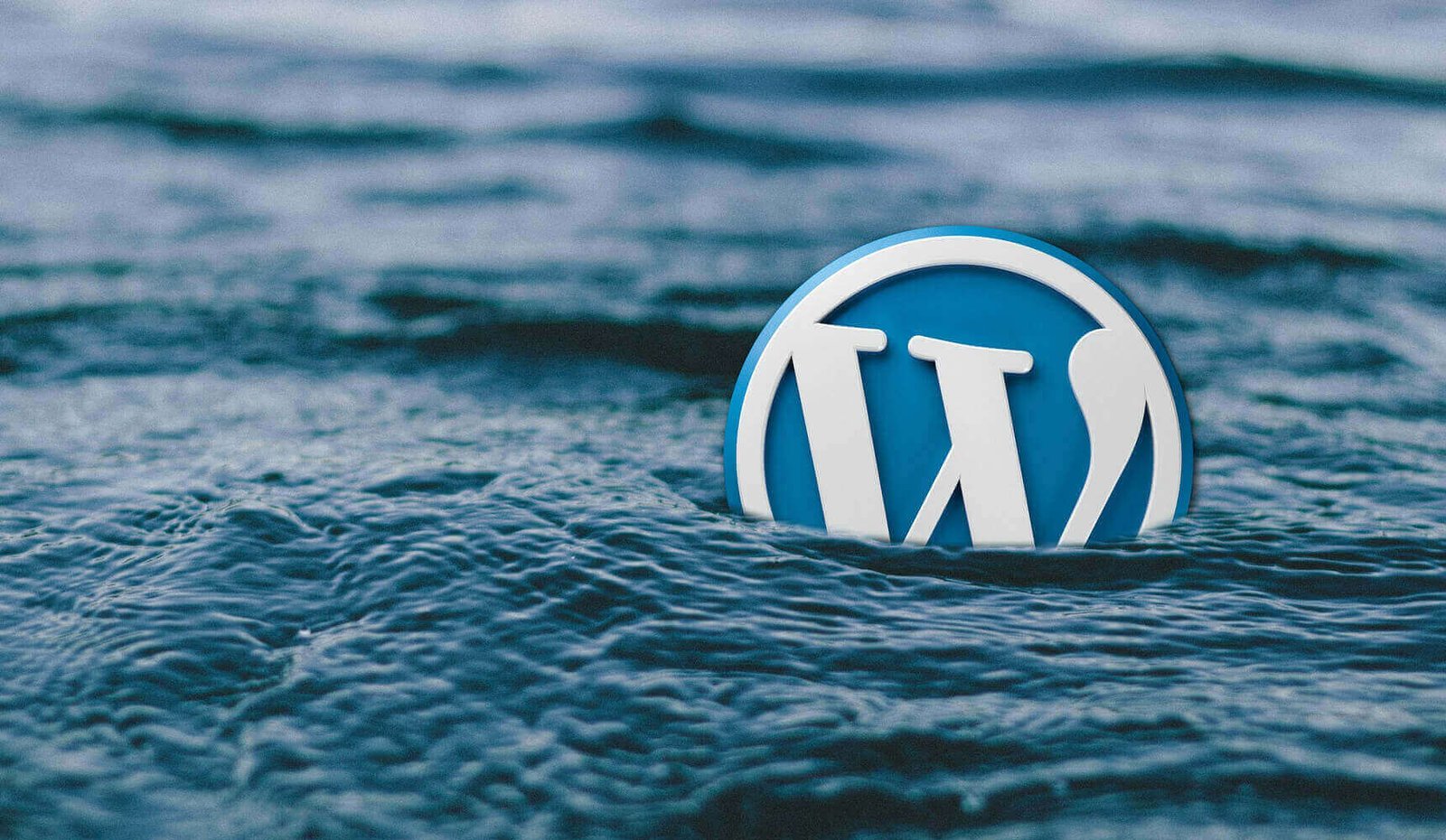 wordpress