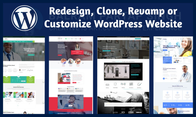 Redesign Clone Revamp or Customize WordPress Website