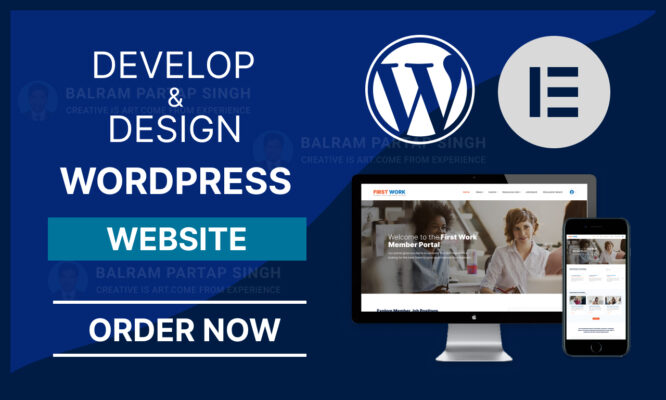 Wordpress Development1